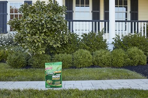 Scotts Green Max Lawn Food, Lawn Fertilizer Plus Iron Supplement for Greener Grass in 3 Days, 5,000 sq. ft., 16.67 lbs.
