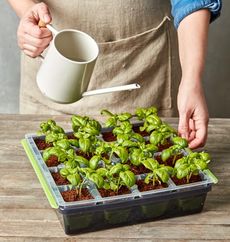 Burpee SuperSeed Seed Starting Tray | 36 Cell Reusable Seed Starter Tray | for Starting Vegetable, Flower & Herb Seeds | Indoor Grow Kit for Plant Seedlings | for Germination Success