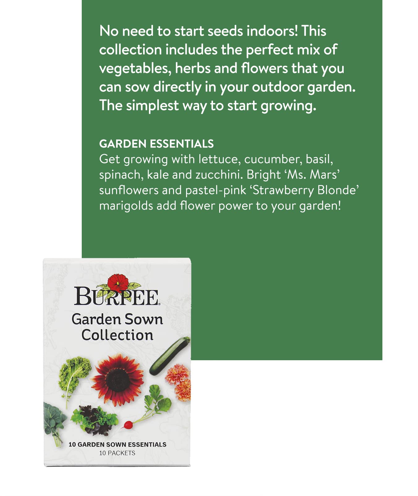 Burpee Culinary Classics Garden Collection 10 Packets of Non-GMO Chives, Cilantro, Basil, Sage, Thyme, Dill, Parsley, Chamomile, Marjoram & Oregano | Kitchen Herb Variety Pack, Seeds for Planting