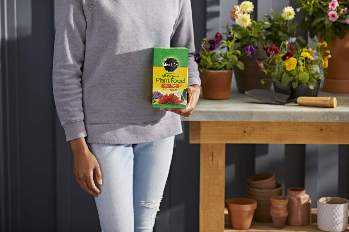 Miracle-Gro Water Soluble All Purpose Plant Food, Plant Fertilizer for Indoor or Outdoor Plants, Roses, Flowers, Houseplants, Vegetables and Trees, 10 lb.