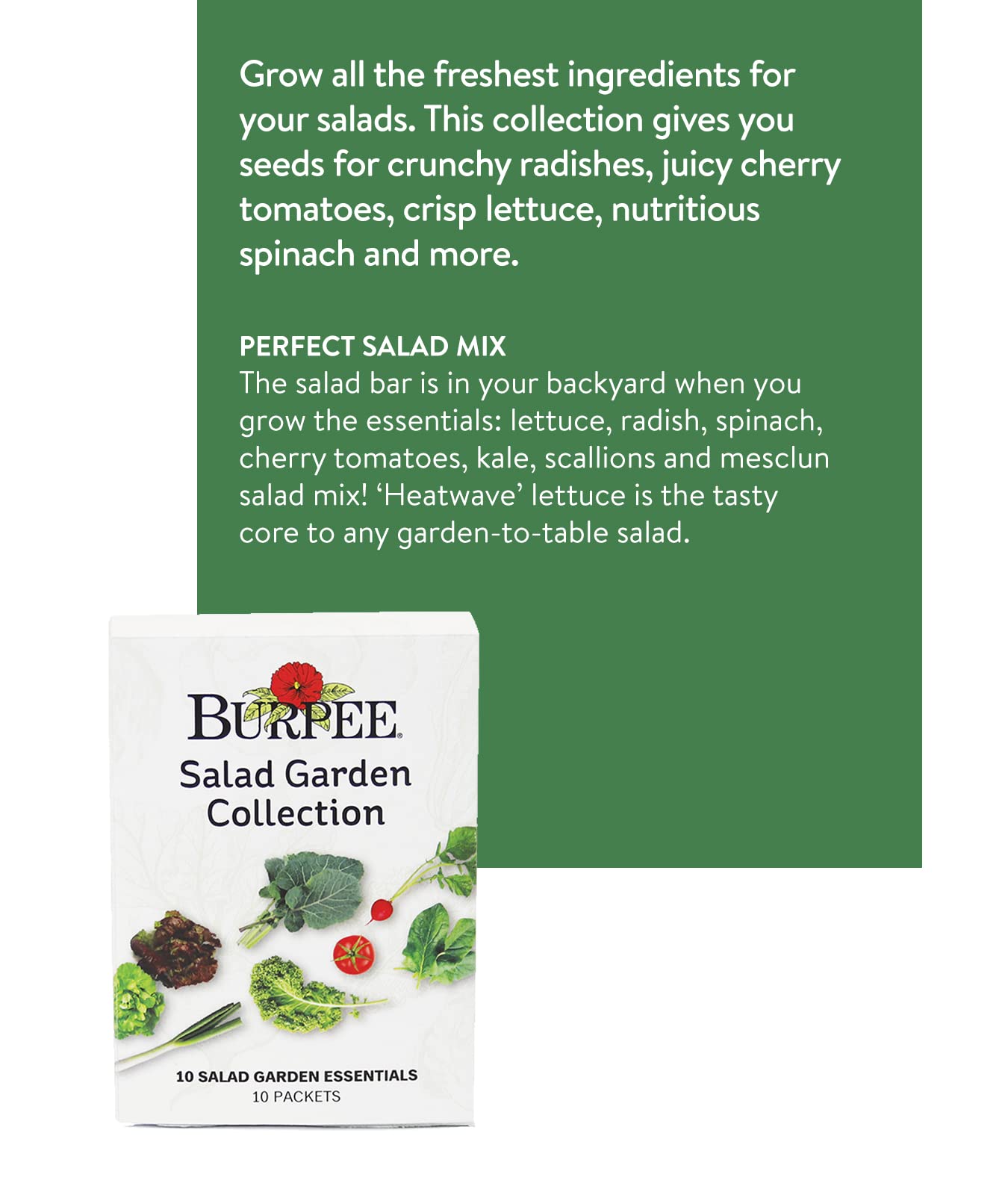 Burpee Culinary Classics Garden Collection 10 Packets of Non-GMO Chives, Cilantro, Basil, Sage, Thyme, Dill, Parsley, Chamomile, Marjoram & Oregano | Kitchen Herb Variety Pack, Seeds for Planting