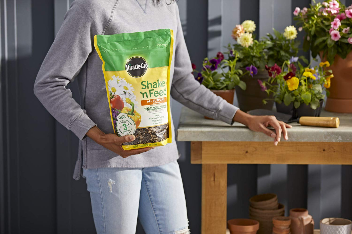 Miracle-Gro Shake 'N Feed All Purpose Plant Food, For In-Ground and Container Plants, Feeds for up to 3 Months, 4.5 lbs.