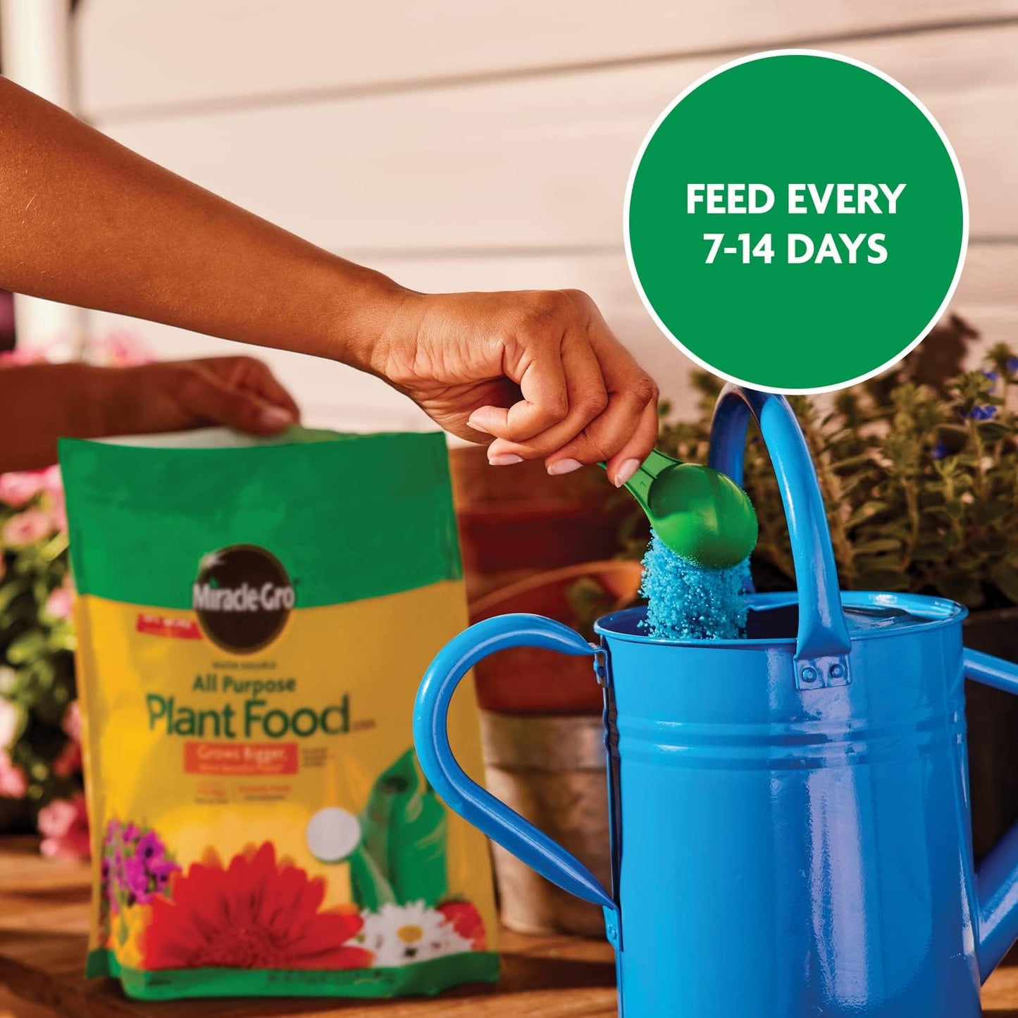 Miracle-Gro Water Soluble All Purpose Plant Food, Plant Fertilizer for Indoor or Outdoor Plants, Roses, Flowers, Houseplants, Vegetables and Trees, 10 lb.