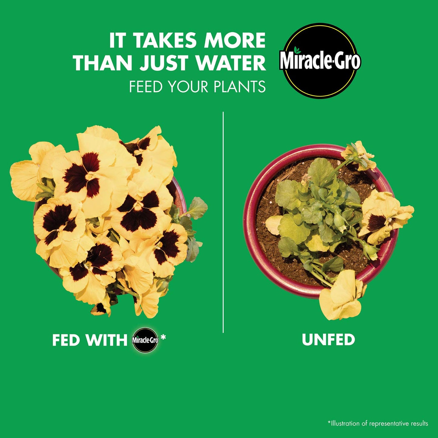 Miracle-Gro Shake 'N Feed All Purpose Plant Food, For In-Ground and Container Plants, Feeds for up to 3 Months, 4.5 lbs.