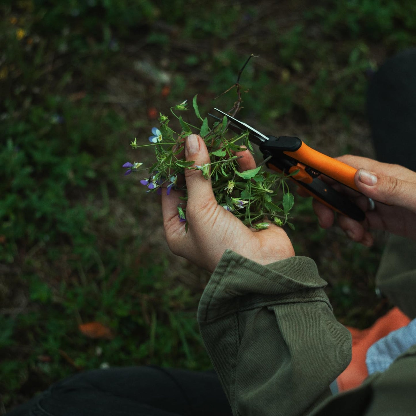 Fiskars 6" Pruning Scissors (2-Pack) for Flowers, Buds, Weeds and Small Plants, Garden Snips with Resin Resistant Nonstick Stainless Steel Blades, Gardening Trimmers with Comfortable Handle