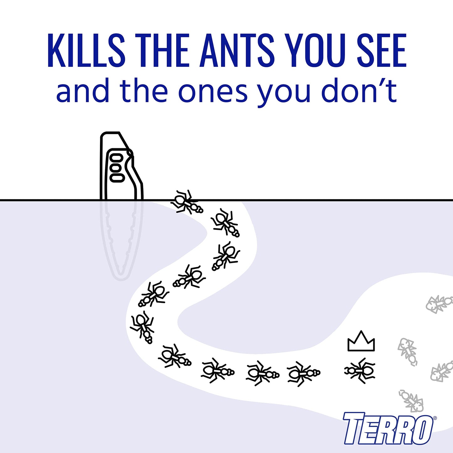 TERRO Liquid Ant Baits - T1813 - Outdoor Ready-to-Use Terro Ant Traps - Pack of 12 Liquid Traps