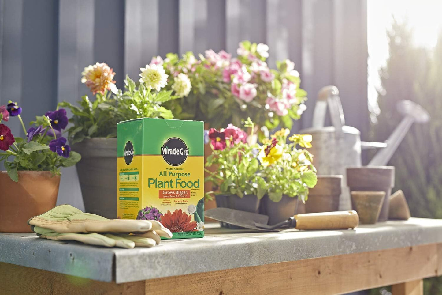 Miracle-Gro Water Soluble All Purpose Plant Food, Plant Fertilizer for Indoor or Outdoor Plants, Roses, Flowers, Houseplants, Vegetables and Trees, 10 lb.
