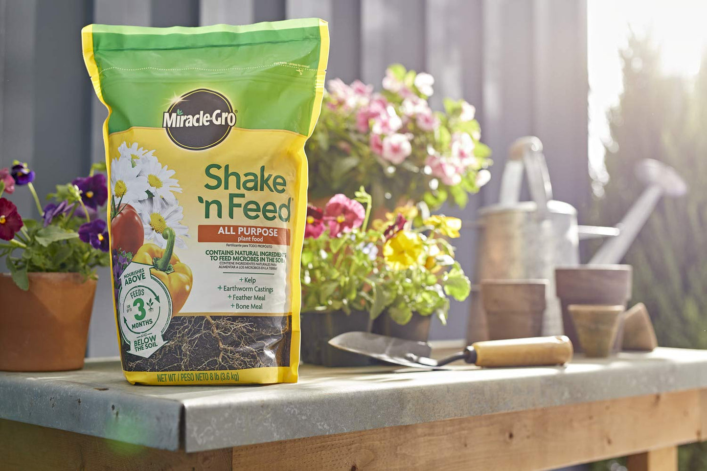 Miracle-Gro Shake 'N Feed All Purpose Plant Food, For In-Ground and Container Plants, Feeds for up to 3 Months, 4.5 lbs.