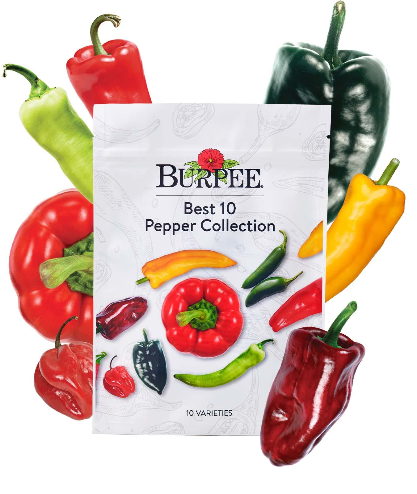 Burpee Culinary Classics Garden Collection 10 Packets of Non-GMO Chives, Cilantro, Basil, Sage, Thyme, Dill, Parsley, Chamomile, Marjoram & Oregano | Kitchen Herb Variety Pack, Seeds for Planting