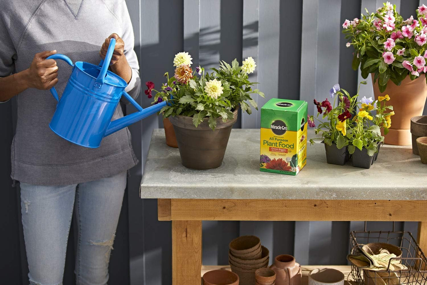 Miracle-Gro Water Soluble All Purpose Plant Food, Plant Fertilizer for Indoor or Outdoor Plants, Roses, Flowers, Houseplants, Vegetables and Trees, 10 lb.