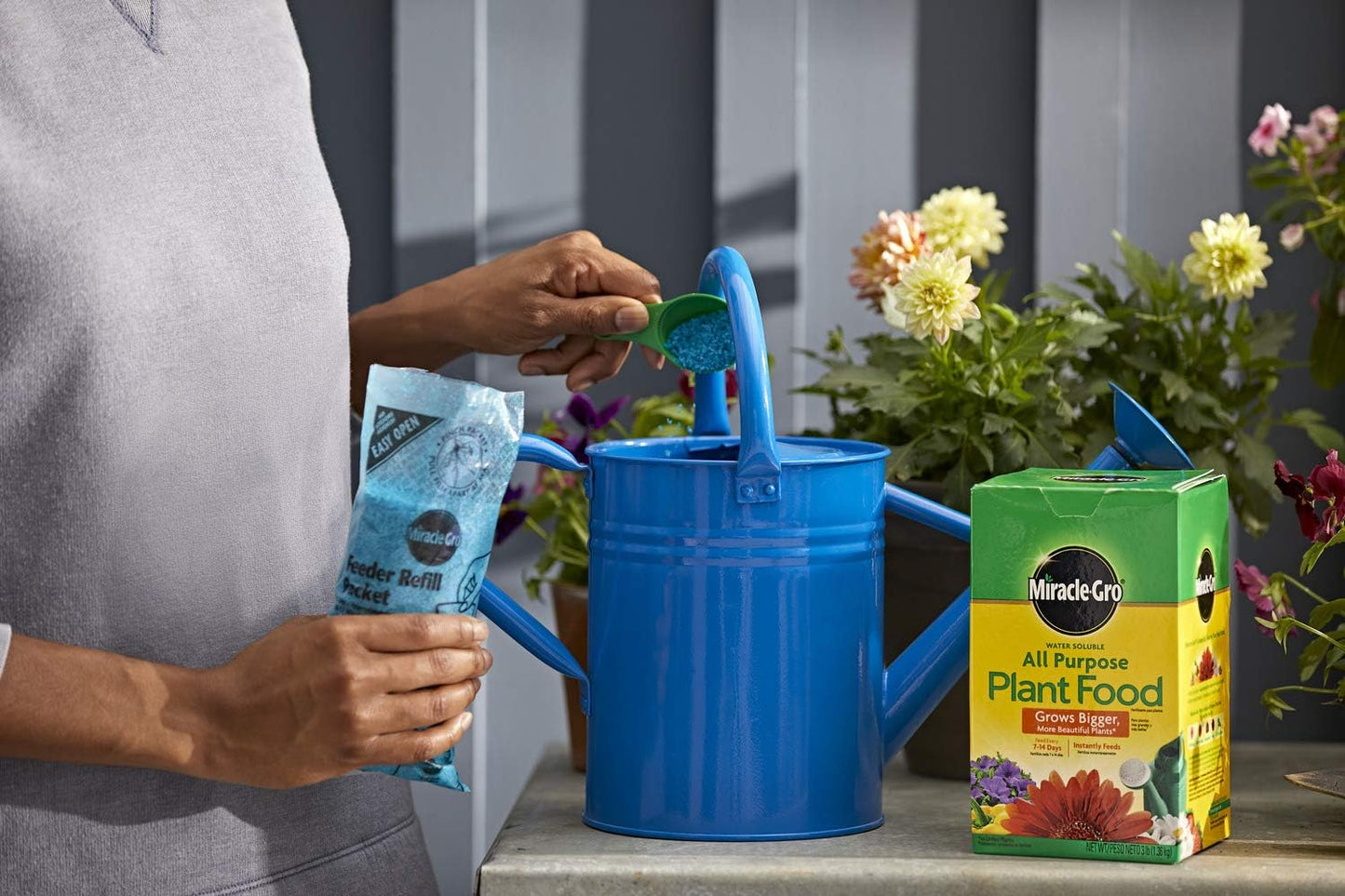 Miracle-Gro Water Soluble All Purpose Plant Food, Plant Fertilizer for Indoor or Outdoor Plants, Roses, Flowers, Houseplants, Vegetables and Trees, 10 lb.
