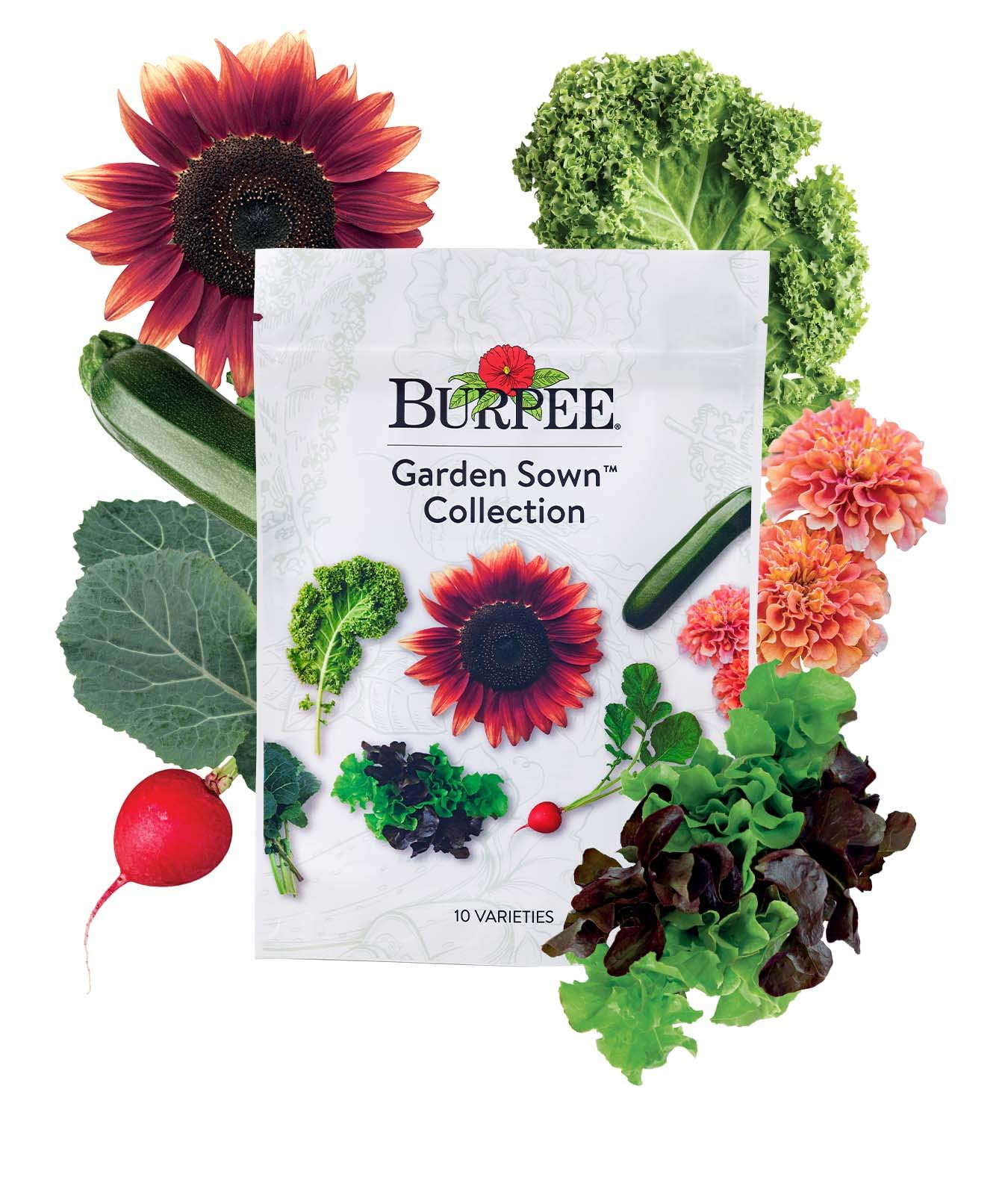 Burpee Culinary Classics Garden Collection 10 Packets of Non-GMO Chives, Cilantro, Basil, Sage, Thyme, Dill, Parsley, Chamomile, Marjoram & Oregano | Kitchen Herb Variety Pack, Seeds for Planting