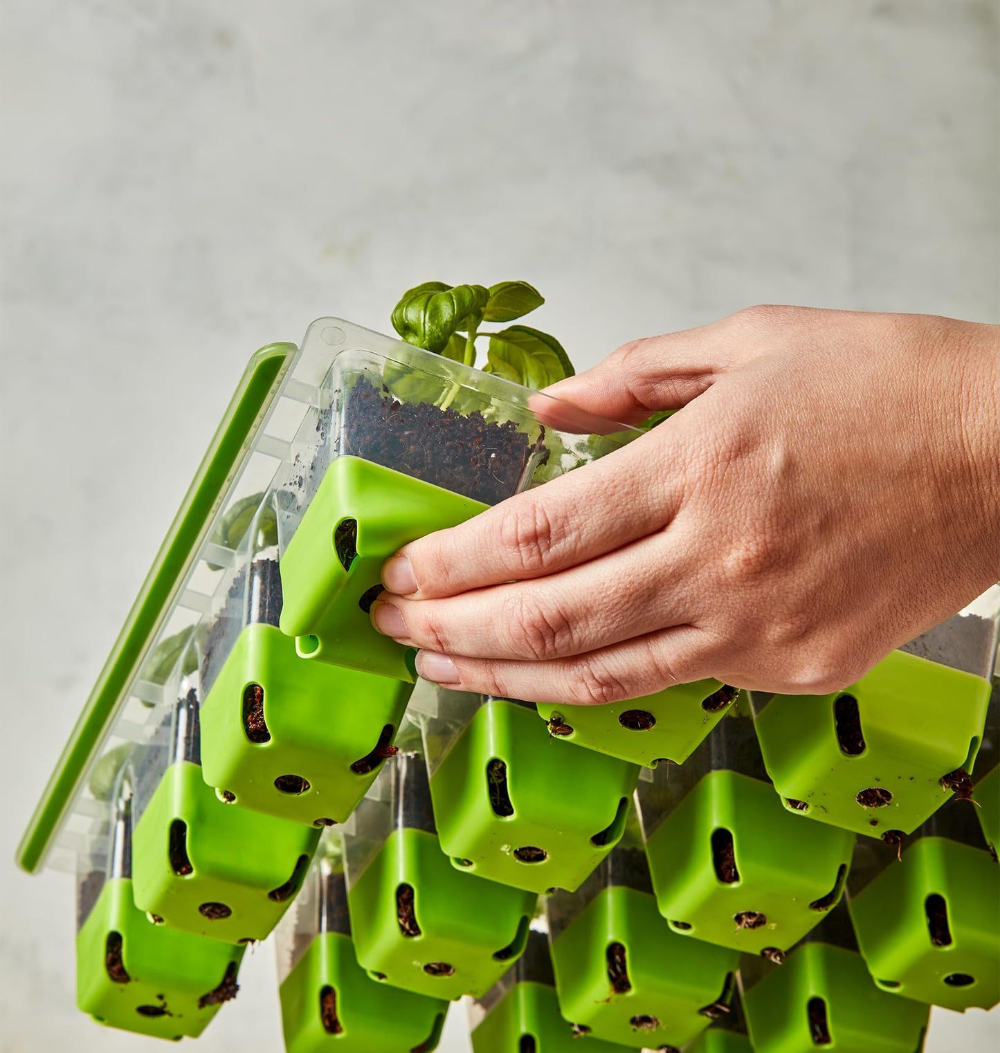 Burpee SuperSeed Seed Starting Tray | 36 Cell Reusable Seed Starter Tray | for Starting Vegetable, Flower & Herb Seeds | Indoor Grow Kit for Plant Seedlings | for Germination Success