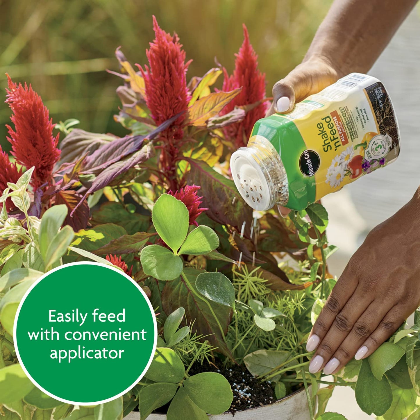 Miracle-Gro Shake 'N Feed All Purpose Plant Food, For In-Ground and Container Plants, Feeds for up to 3 Months, 4.5 lbs.