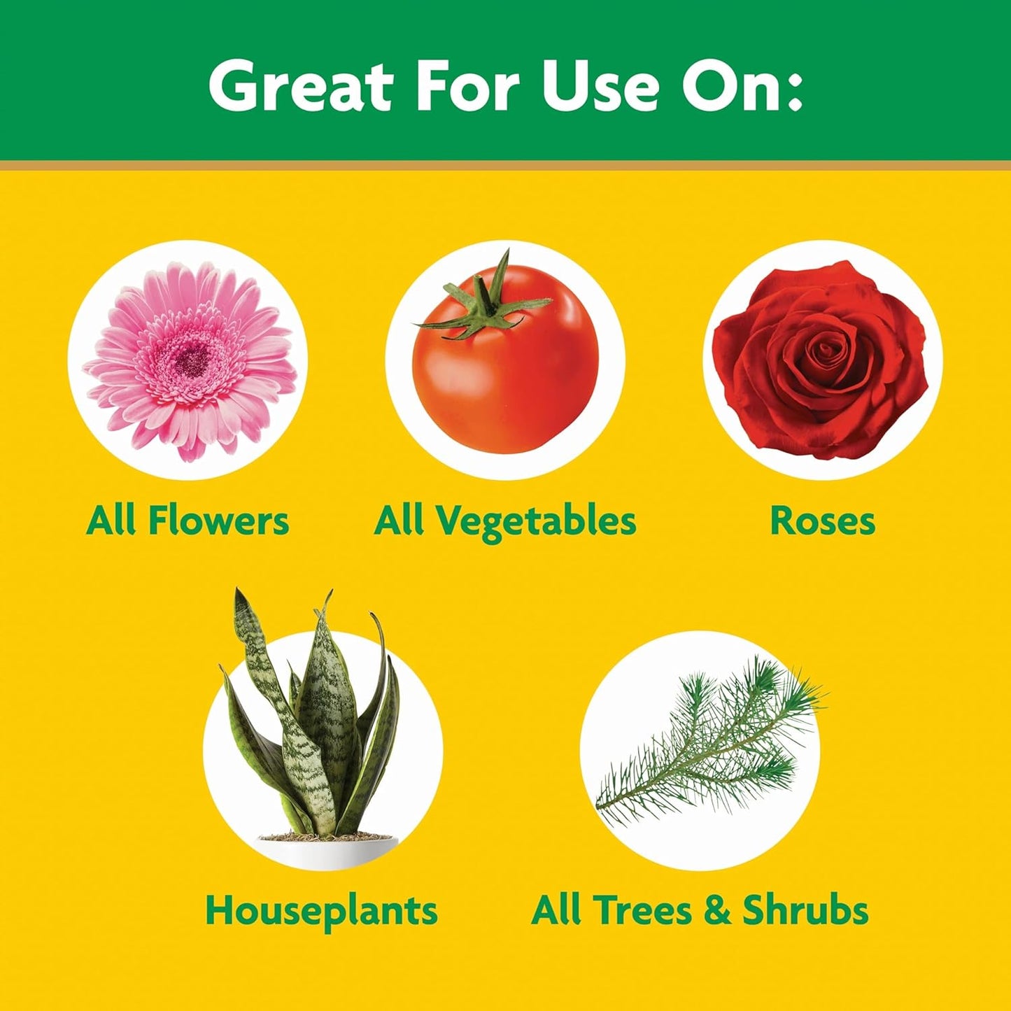Miracle-Gro Water Soluble All Purpose Plant Food, Plant Fertilizer for Indoor or Outdoor Plants, Roses, Flowers, Houseplants, Vegetables and Trees, 10 lb.