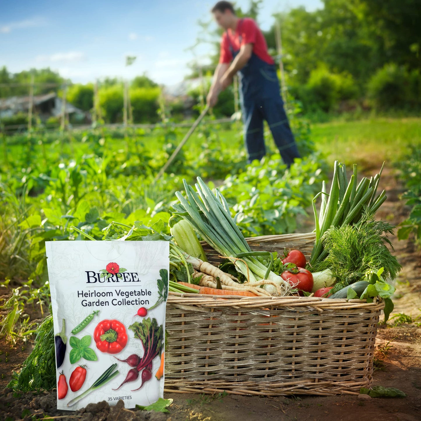 Burpee Culinary Classics Garden Collection 10 Packets of Non-GMO Chives, Cilantro, Basil, Sage, Thyme, Dill, Parsley, Chamomile, Marjoram & Oregano | Kitchen Herb Variety Pack, Seeds for Planting