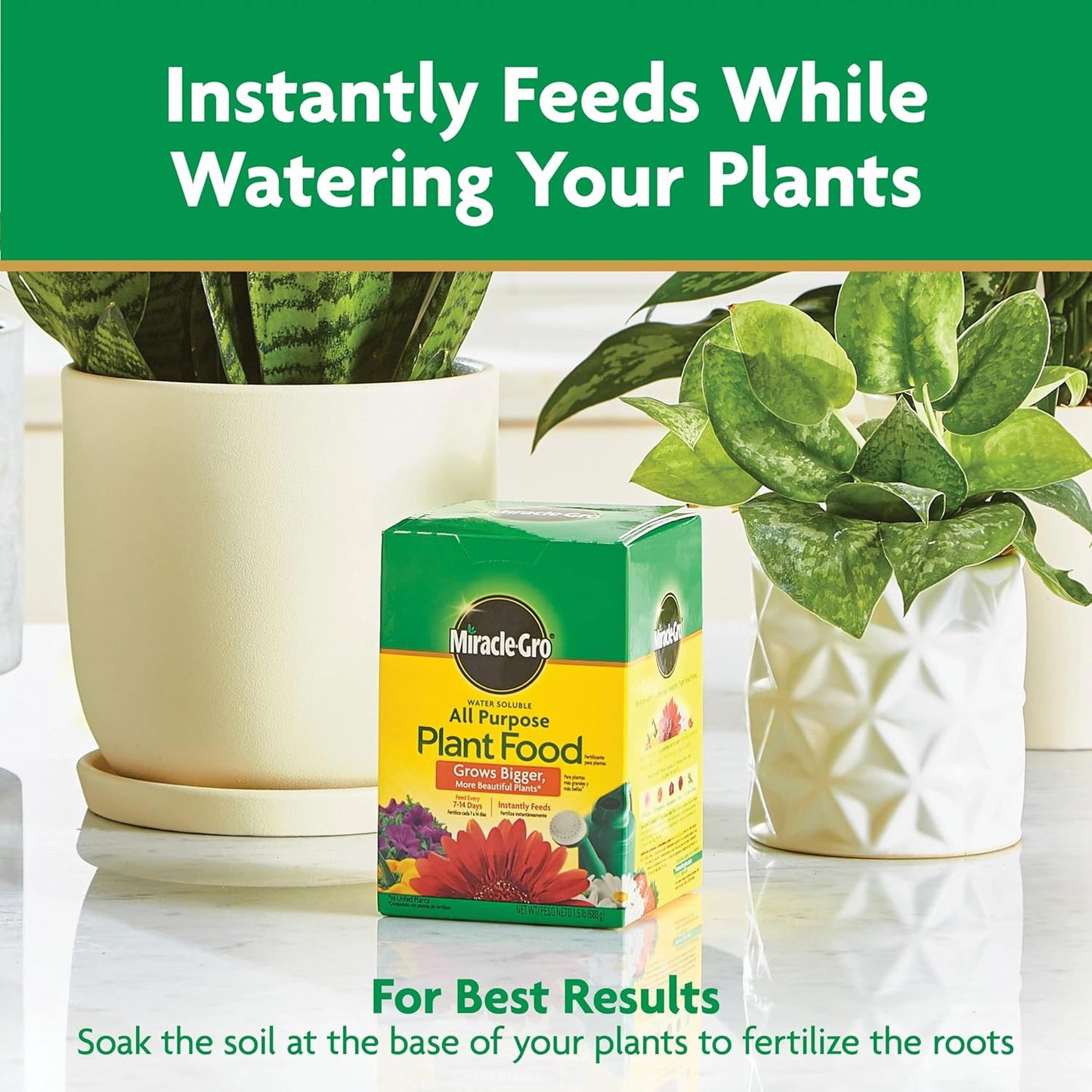 Miracle-Gro Water Soluble All Purpose Plant Food, Plant Fertilizer for Indoor or Outdoor Plants, Roses, Flowers, Houseplants, Vegetables and Trees, 10 lb.