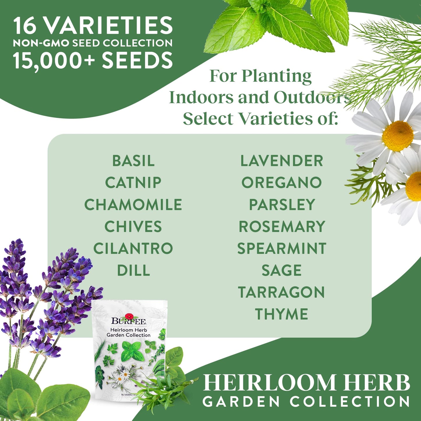 Burpee Culinary Classics Garden Collection 10 Packets of Non-GMO Chives, Cilantro, Basil, Sage, Thyme, Dill, Parsley, Chamomile, Marjoram & Oregano | Kitchen Herb Variety Pack, Seeds for Planting
