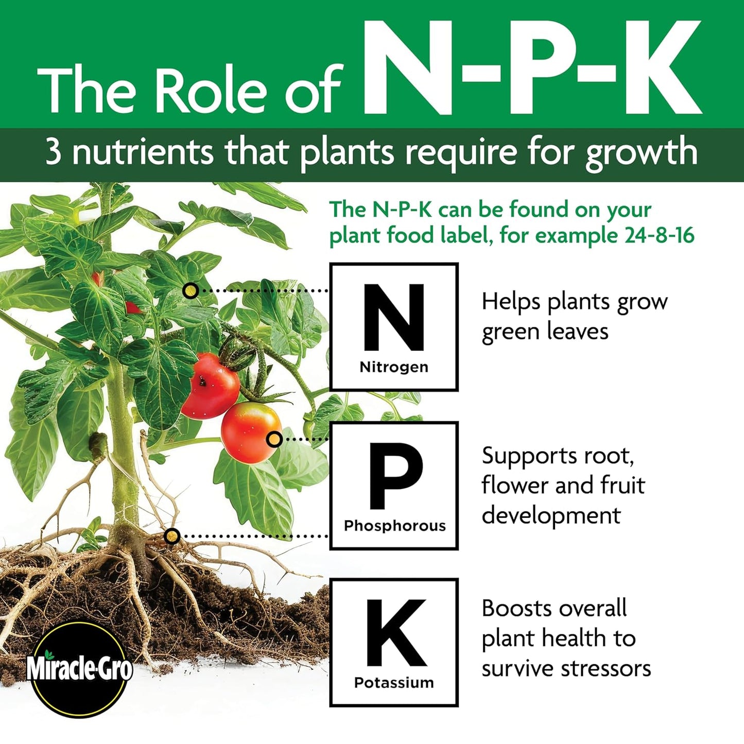 Miracle-Gro Shake 'N Feed All Purpose Plant Food, For In-Ground and Container Plants, Feeds for up to 3 Months, 4.5 lbs.