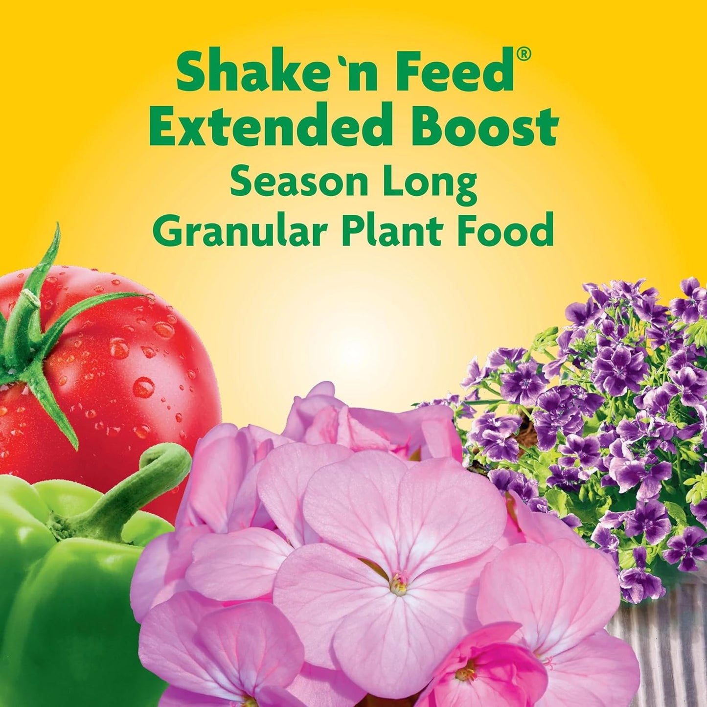 Miracle-Gro Shake 'N Feed All Purpose Plant Food, For In-Ground and Container Plants, Feeds for up to 3 Months, 4.5 lbs.