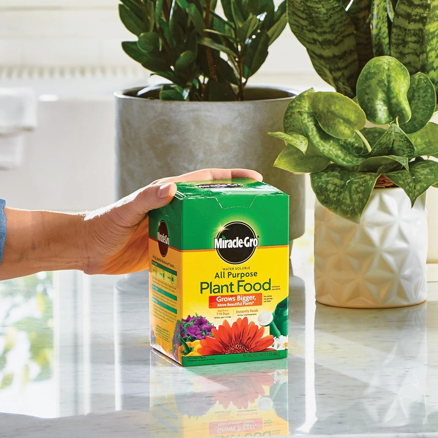Miracle-Gro Water Soluble All Purpose Plant Food, Plant Fertilizer for Indoor or Outdoor Plants, Roses, Flowers, Houseplants, Vegetables and Trees, 10 lb.
