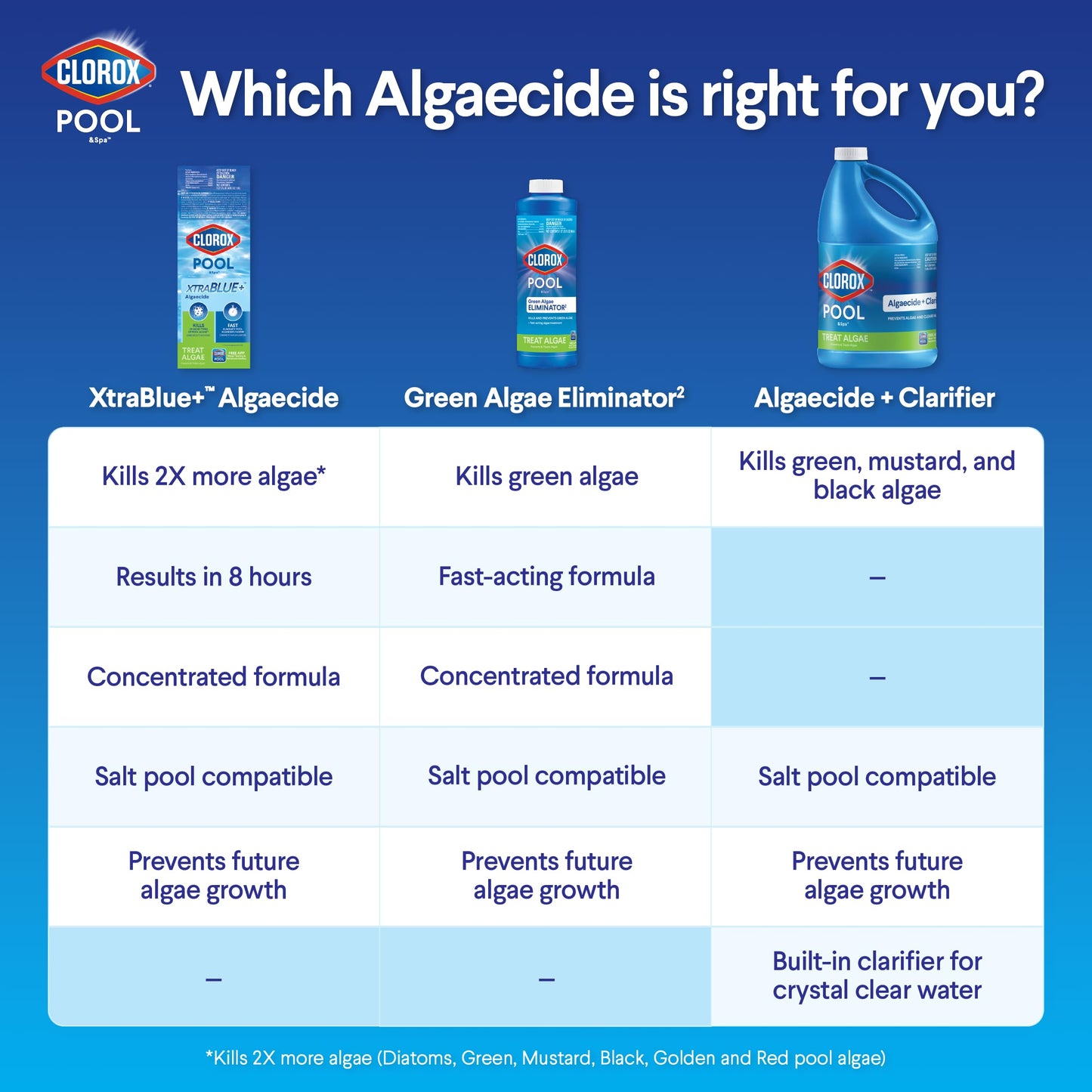 Clorox® Pool&Spa™ Swimming Pool Algaecide, Prevents and Treats Pool Algae, Non-Foaming, 1 Quart (Pack of 1)