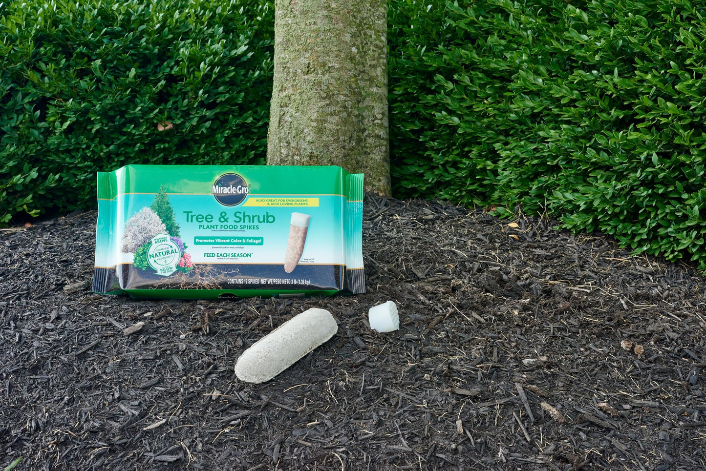 Miracle-Gro Fruit & Citrus Plant Food Spikes