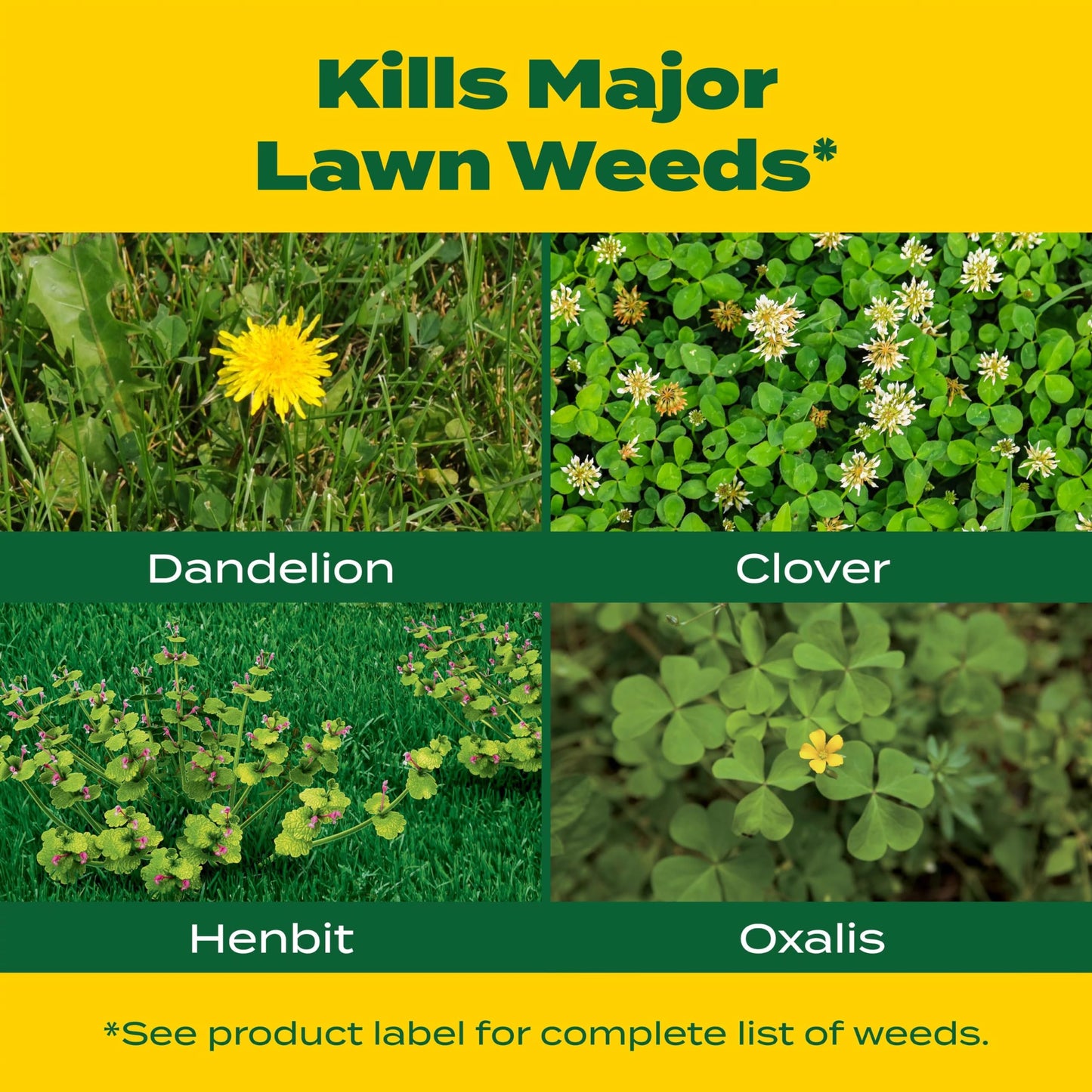 Scotts Turf Builder Weed & Feed3, Weed Killer Plus Lawn Fertilizer, Controls Dandelion and Clover, 5,000 sq. ft., 14.29 lbs.