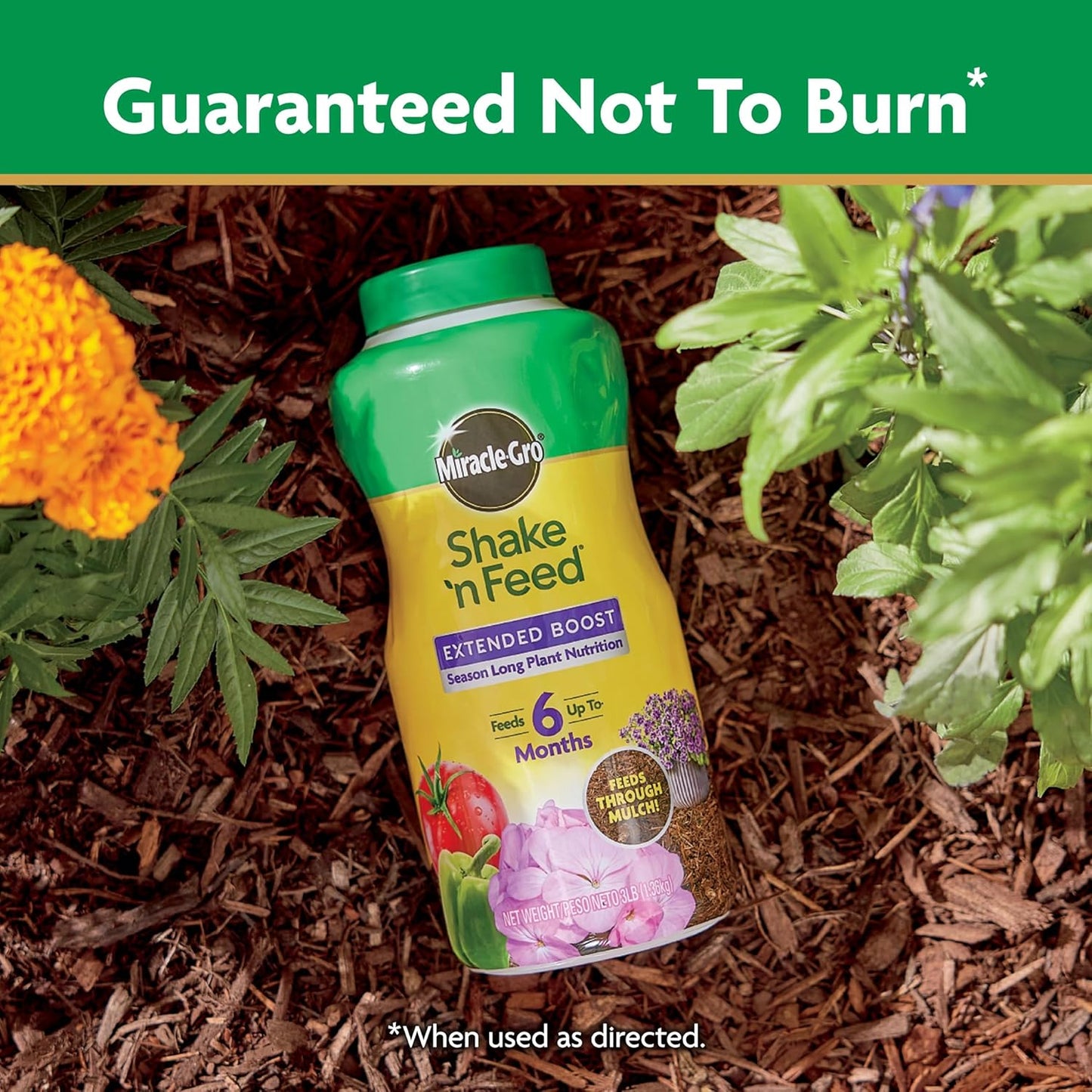 Miracle-Gro Shake 'N Feed All Purpose Plant Food, For In-Ground and Container Plants, Feeds for up to 3 Months, 4.5 lbs.