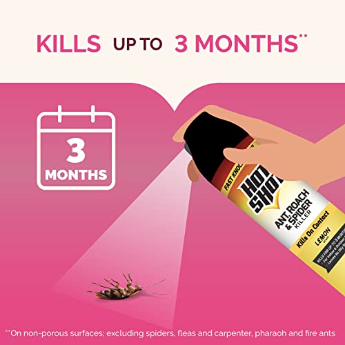 Hot Shot Ant, Roach & Spider Killer, Kills Roaches and Listed Ants On Contact, Indoor & Outdoor Use, (Unscented) 2 Pack, 17.5 Ounce