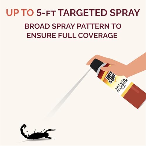 Hot Shot Ant, Roach & Spider Killer, Kills Roaches and Listed Ants On Contact, Indoor & Outdoor Use, (Unscented) 2 Pack, 17.5 Ounce