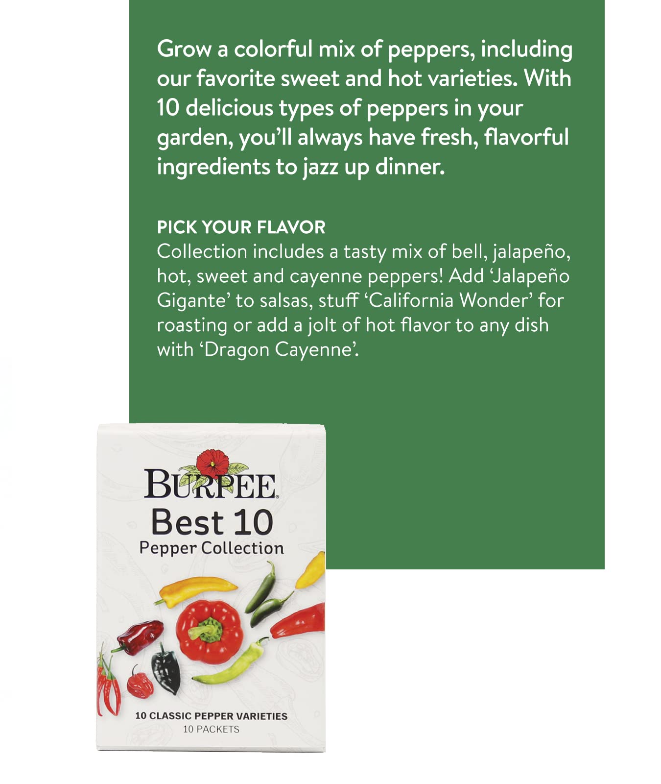 Burpee Culinary Classics Garden Collection 10 Packets of Non-GMO Chives, Cilantro, Basil, Sage, Thyme, Dill, Parsley, Chamomile, Marjoram & Oregano | Kitchen Herb Variety Pack, Seeds for Planting