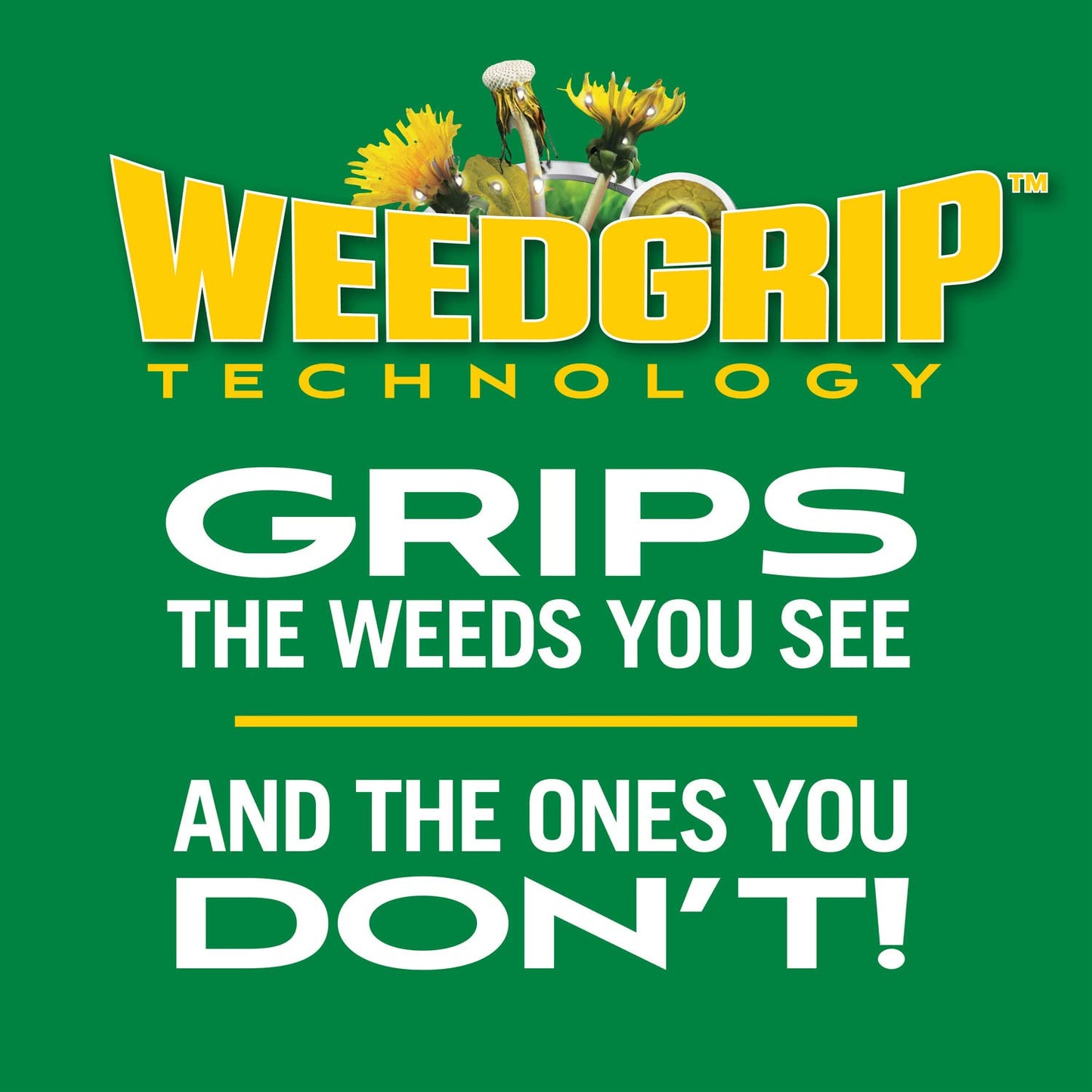 Scotts Turf Builder Weed & Feed3, Weed Killer Plus Lawn Fertilizer, Controls Dandelion and Clover, 5,000 sq. ft., 14.29 lbs.