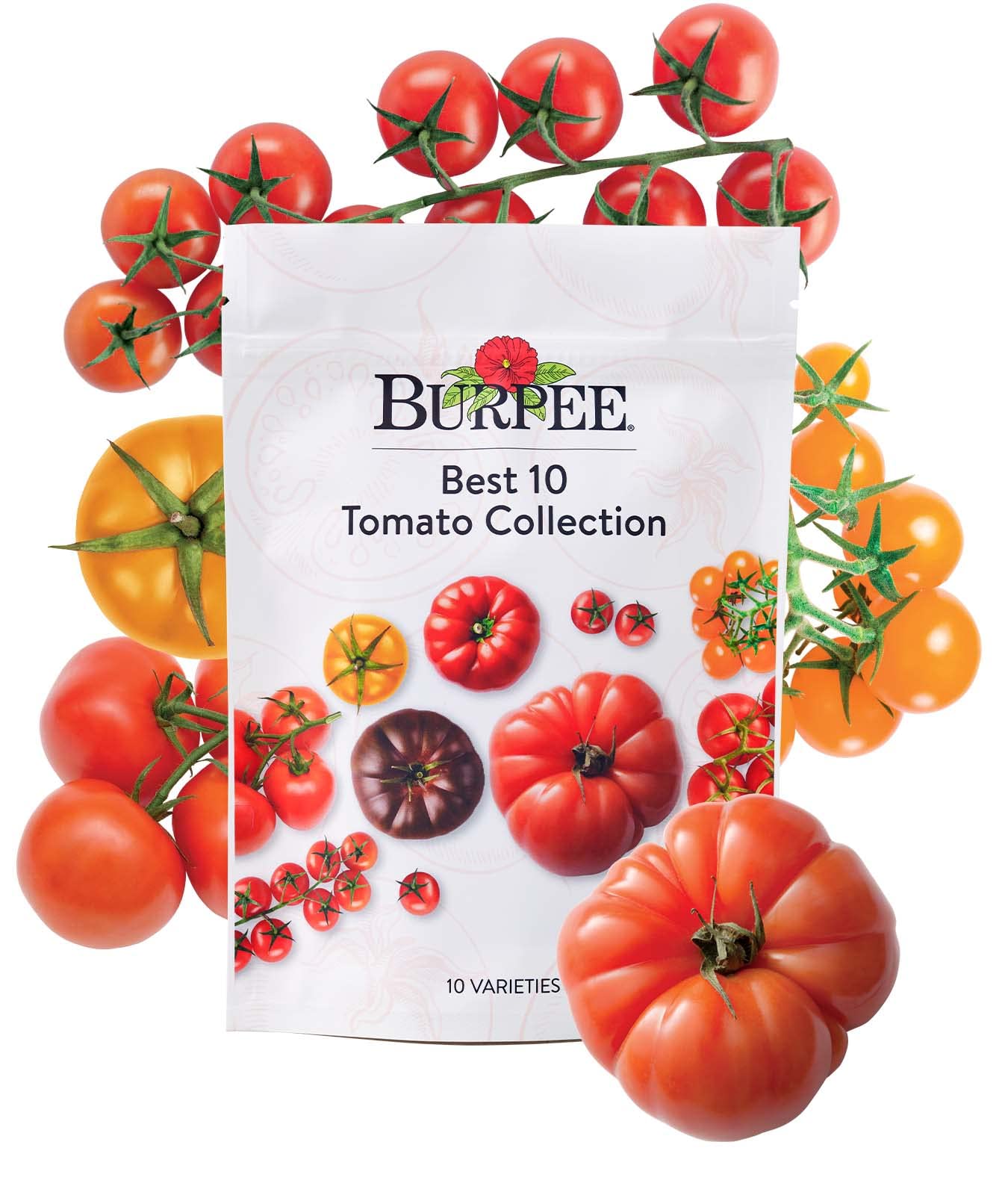 Burpee Culinary Classics Garden Collection 10 Packets of Non-GMO Chives, Cilantro, Basil, Sage, Thyme, Dill, Parsley, Chamomile, Marjoram & Oregano | Kitchen Herb Variety Pack, Seeds for Planting