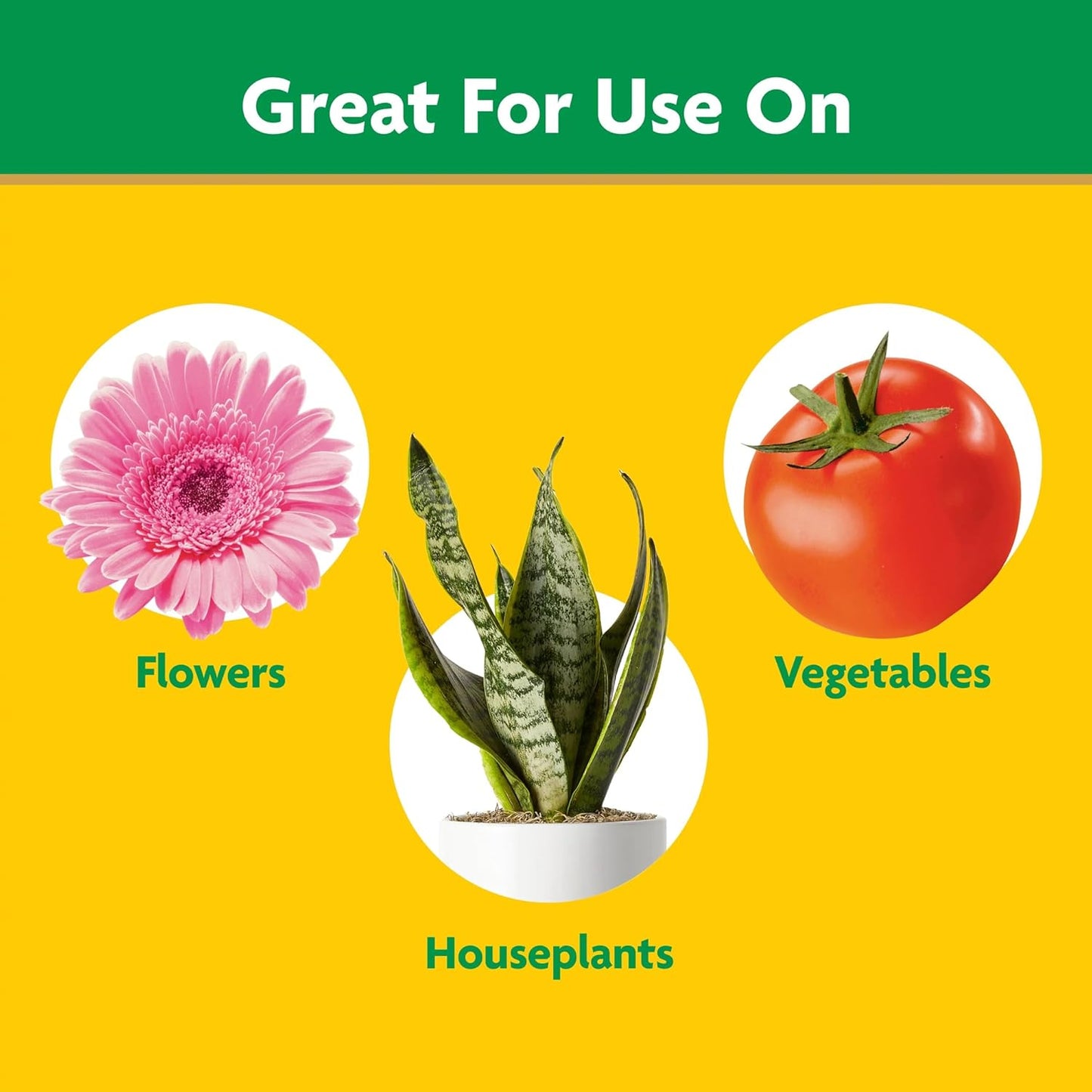 Miracle-Gro Shake 'N Feed All Purpose Plant Food, For In-Ground and Container Plants, Feeds for up to 3 Months, 4.5 lbs.