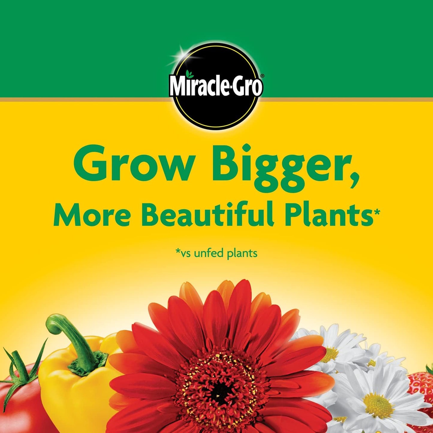 Miracle-Gro Water Soluble All Purpose Plant Food, Plant Fertilizer for Indoor or Outdoor Plants, Roses, Flowers, Houseplants, Vegetables and Trees, 10 lb.