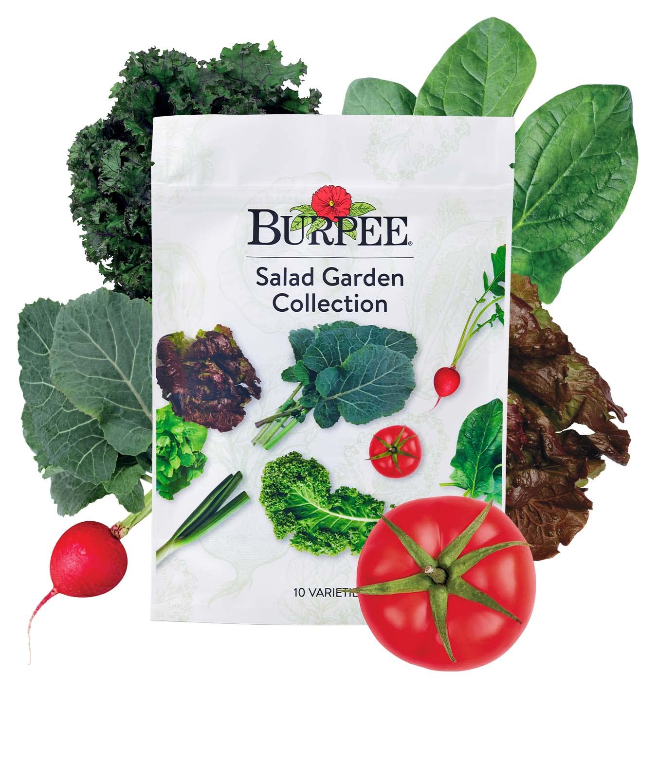 Burpee Culinary Classics Garden Collection 10 Packets of Non-GMO Chives, Cilantro, Basil, Sage, Thyme, Dill, Parsley, Chamomile, Marjoram & Oregano | Kitchen Herb Variety Pack, Seeds for Planting