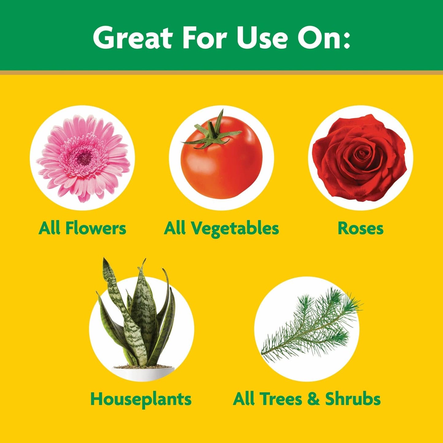 Miracle-Gro Water Soluble All Purpose Plant Food, Plant Fertilizer for Indoor or Outdoor Plants, Roses, Flowers, Houseplants, Vegetables and Trees, 10 lb.