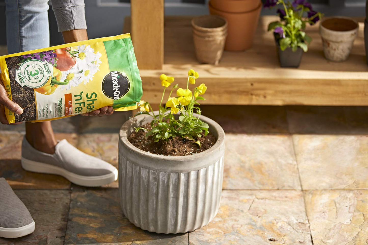 Miracle-Gro Shake 'N Feed All Purpose Plant Food, For In-Ground and Container Plants, Feeds for up to 3 Months, 4.5 lbs.