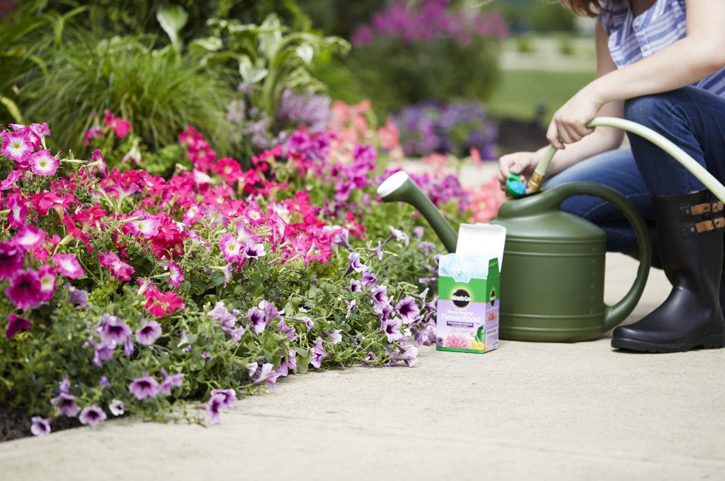 Miracle-Gro Water Soluble Bloom Booster Flower Food, Plant Food for Annual and Perennial Flowers, In-Ground and Container Plants, Roses, Hydrangeas, Hibiscus, 5.5 lb.