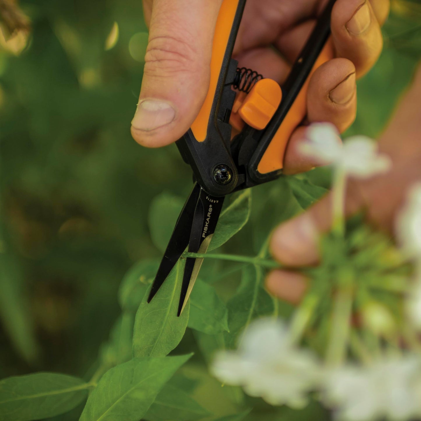 Fiskars 6" Pruning Scissors (2-Pack) for Flowers, Buds, Weeds and Small Plants, Garden Snips with Resin Resistant Nonstick Stainless Steel Blades, Gardening Trimmers with Comfortable Handle