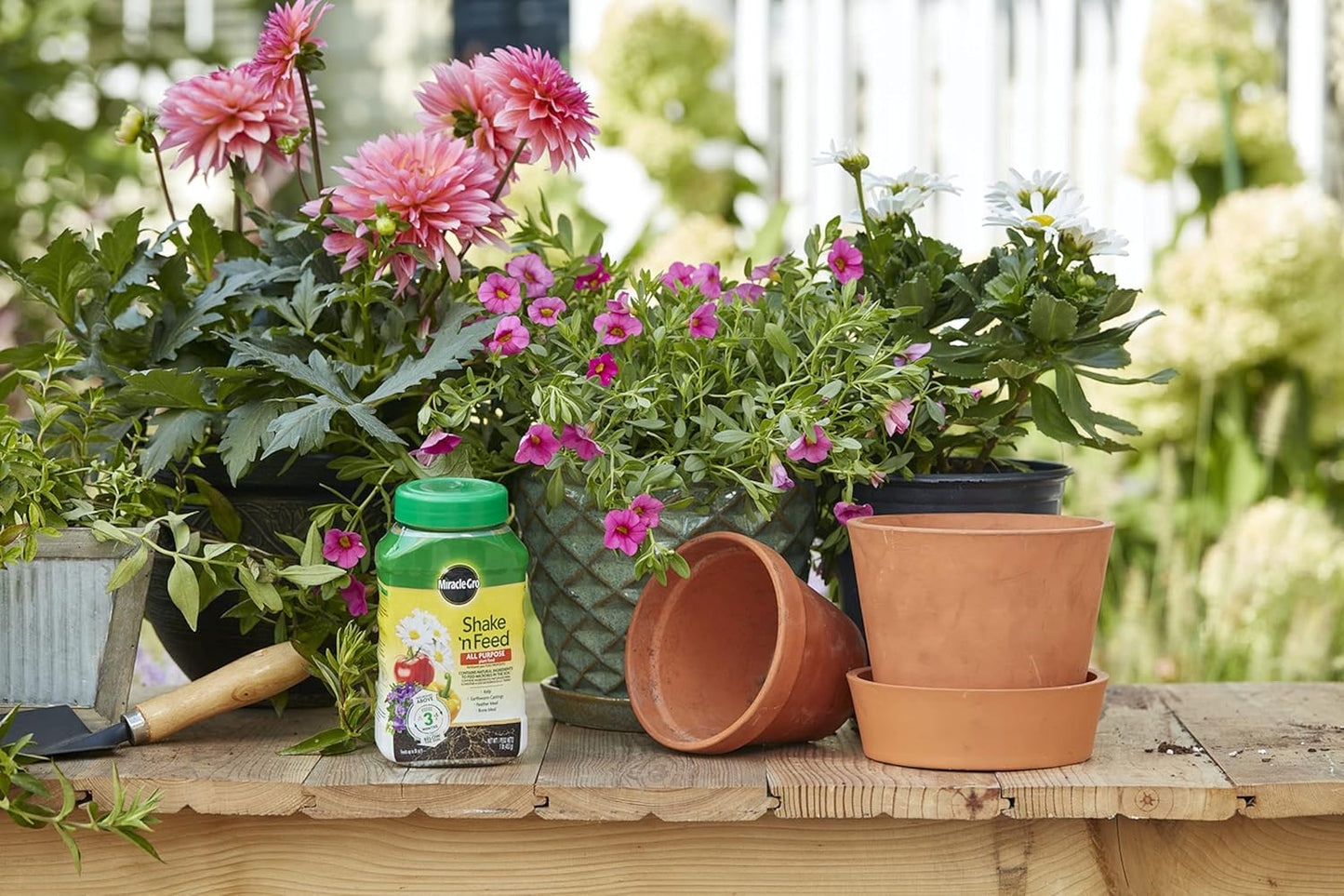 Miracle-Gro Shake 'N Feed All Purpose Plant Food, For In-Ground and Container Plants, Feeds for up to 3 Months, 4.5 lbs.