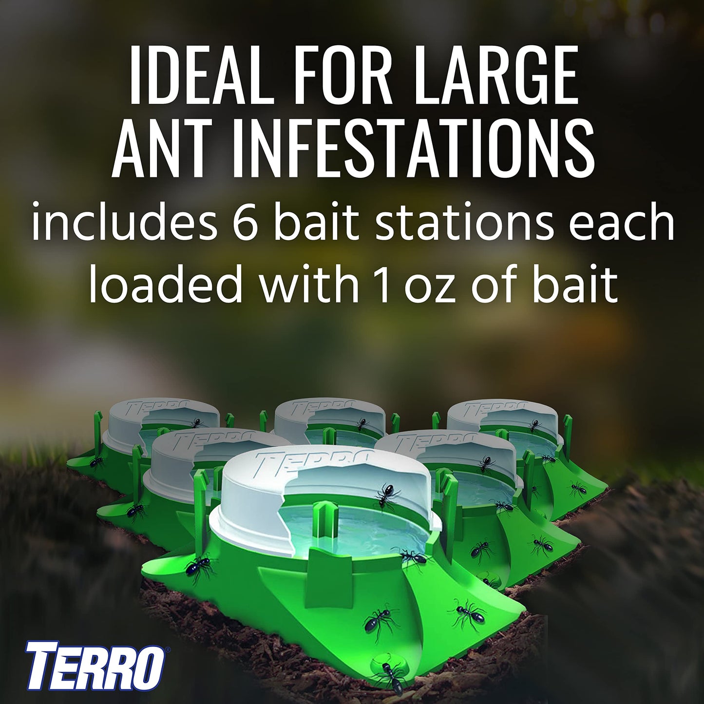 TERRO T1804-6 Outdoor Ready-to-Use Liquid Ant Bait Killer and Trap - Kills Common Household Ants - 4 Bait Stations