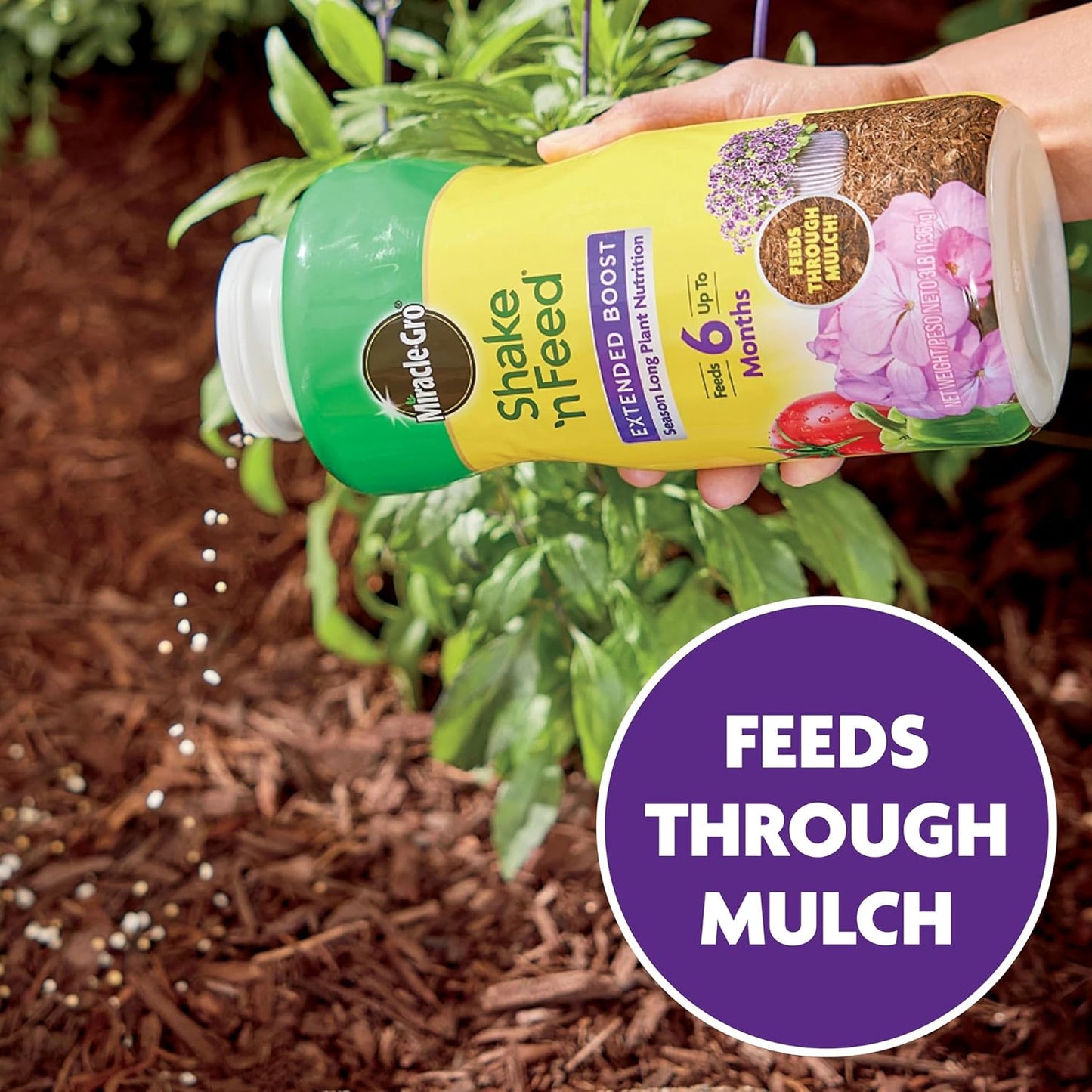 Miracle-Gro Shake 'N Feed All Purpose Plant Food, For In-Ground and Container Plants, Feeds for up to 3 Months, 4.5 lbs.