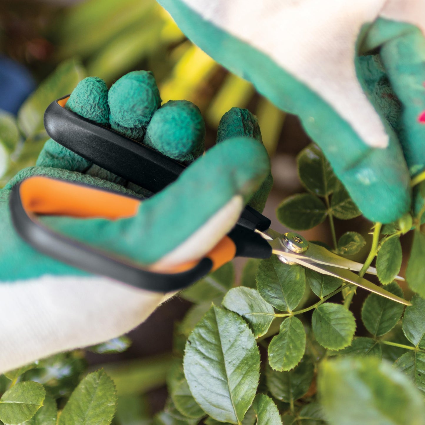 Fiskars 6" Pruning Scissors (2-Pack) for Flowers, Buds, Weeds and Small Plants, Garden Snips with Resin Resistant Nonstick Stainless Steel Blades, Gardening Trimmers with Comfortable Handle