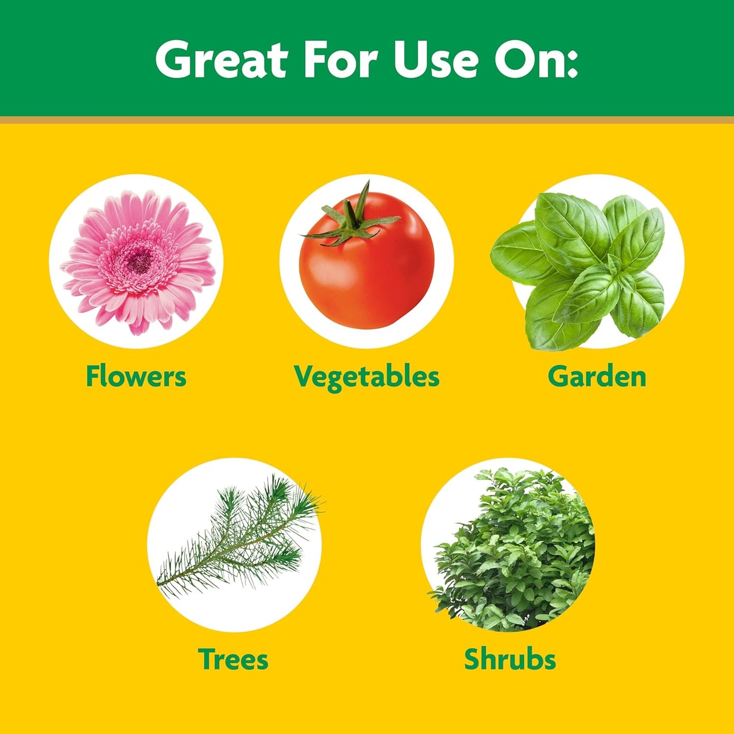 Miracle-Gro Water Soluble All Purpose Plant Food, Plant Fertilizer for Indoor or Outdoor Plants, Roses, Flowers, Houseplants, Vegetables and Trees, 10 lb.