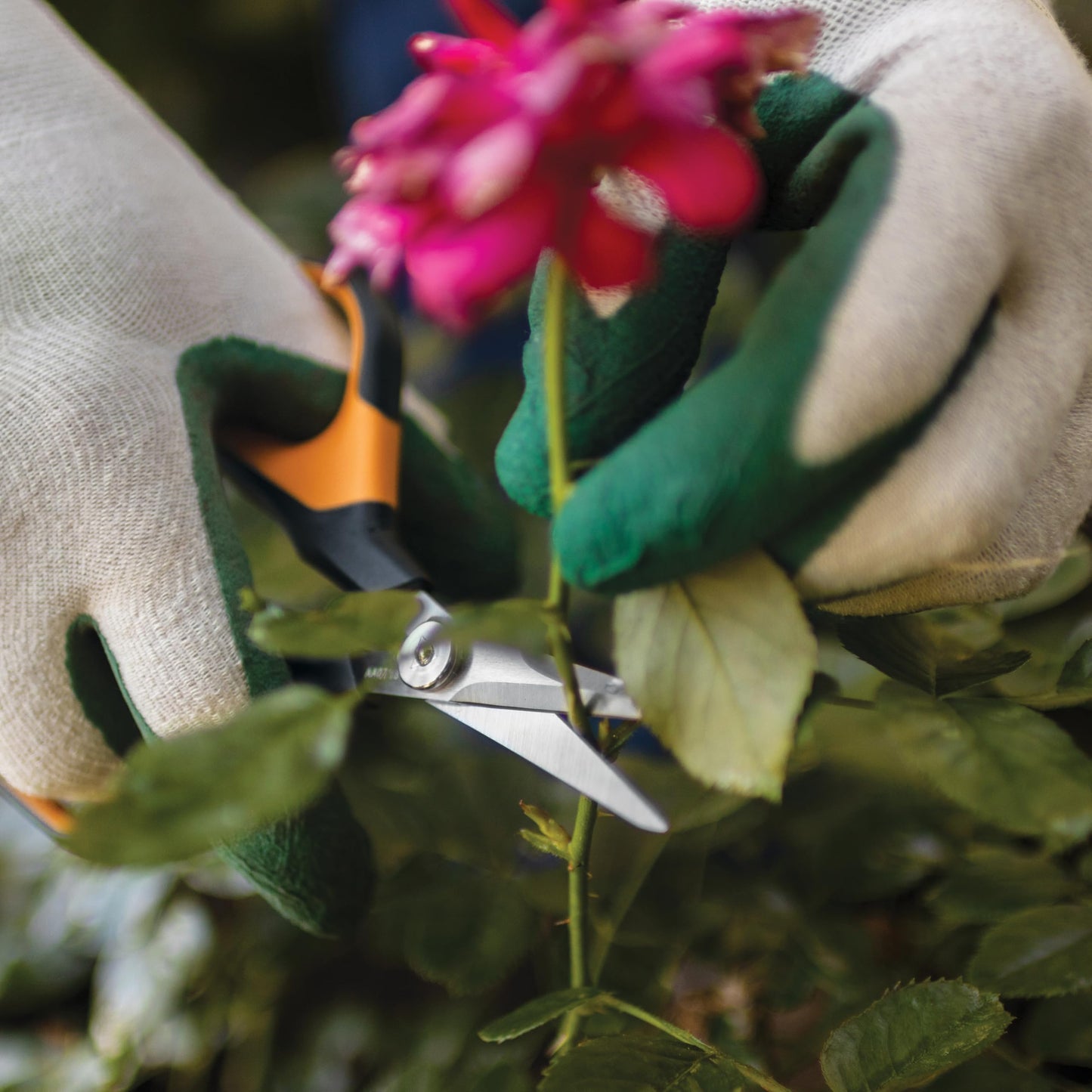 Fiskars 6" Pruning Scissors (2-Pack) for Flowers, Buds, Weeds and Small Plants, Garden Snips with Resin Resistant Nonstick Stainless Steel Blades, Gardening Trimmers with Comfortable Handle