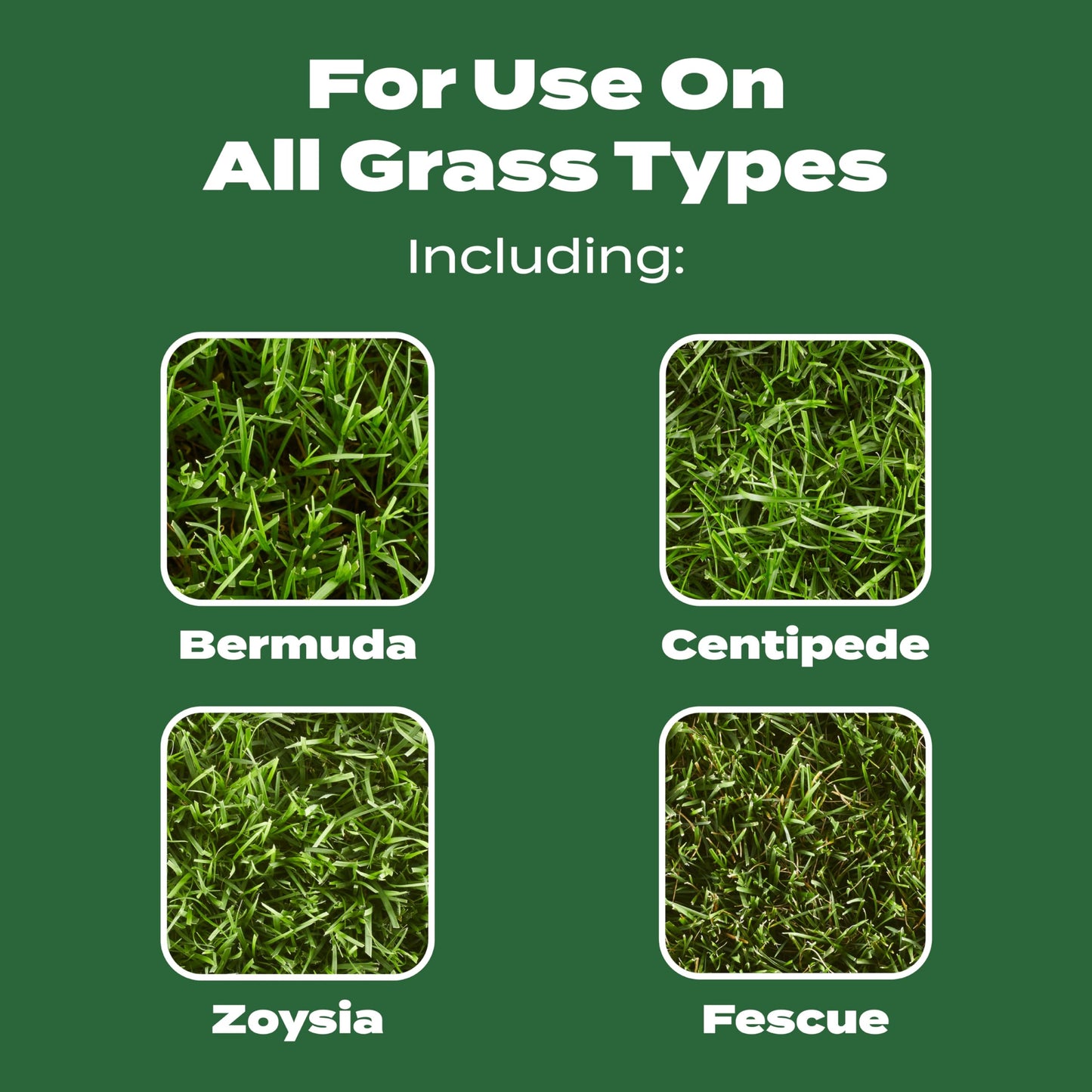 Scotts Turf Builder Lawn Food - Fertilizer for All Grass Types, 5,000 sq. ft., 12.5 lbs.