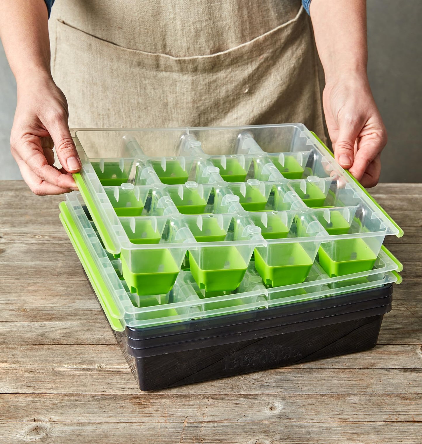 Burpee SuperSeed Seed Starting Tray | 36 Cell Reusable Seed Starter Tray | for Starting Vegetable, Flower & Herb Seeds | Indoor Grow Kit for Plant Seedlings | for Germination Success