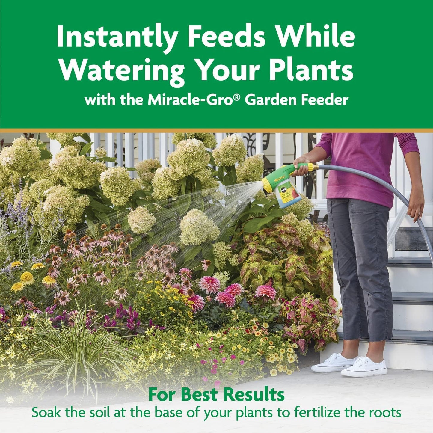 Miracle-Gro Water Soluble All Purpose Plant Food, Plant Fertilizer for Indoor or Outdoor Plants, Roses, Flowers, Houseplants, Vegetables and Trees, 10 lb.